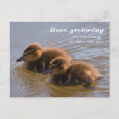 昨日の甘いマラードダックリ生まれングCC0146 ポストカード (正面)