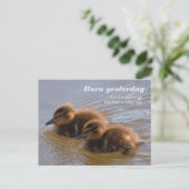 昨日の甘いマラードダックリ生まれングCC0146  ポストカード (スタンド正面)