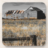 昨日の避難所 コースター (正面)