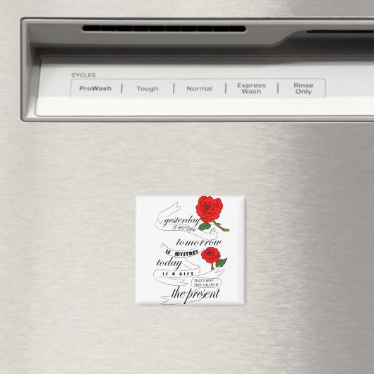 昨日は明日の歴史は筋が通っている マグネット (インサイチュ (食洗機))