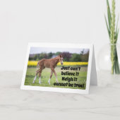 昨日は15枚だったウマのカード カード (正面)