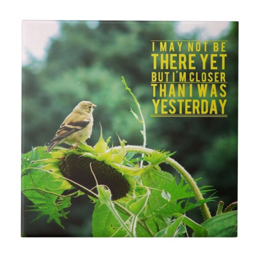 昨日よりも近いゴールドフィンチ陽性 タイル (正面)