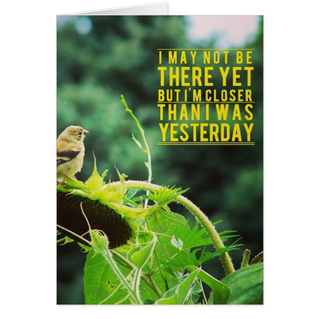 昨日よりも近いゴールドフィンチ (正面)