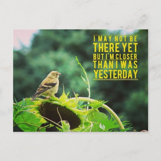 昨日よりも近いゴールドフィンチ ポストカード (正面)