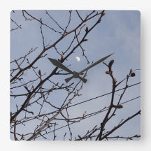 昼下がりの半月