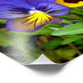 昼夜の合間 フォトプリント            (角)