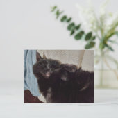 昼寝する黒猫 ポストカード (スタンド正面)