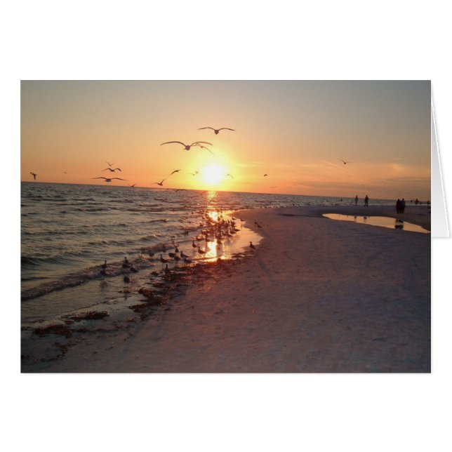 昼寝の日曜日の設定 (正面横)