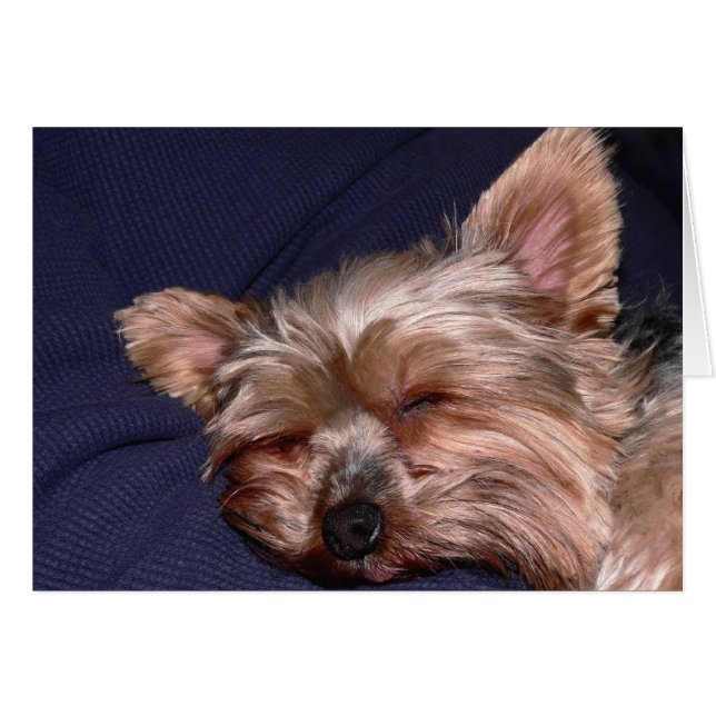 昼寝の時間 (正面横)