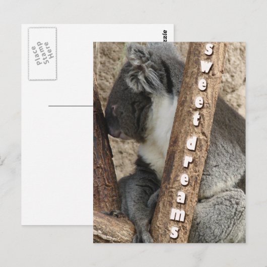 昼寝の時間 ポストカード (正面/裏面)