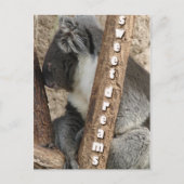 昼寝の時間 ポストカード (正面)