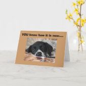 昼寝は日の重要な時期だ カード (黄色い花)