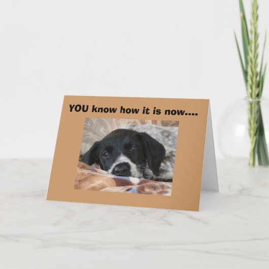 昼寝は日の重要な時期だ カード (正面)