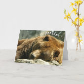 昼寝タイムベア カード (黄色い花)