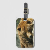 昼寝タイムベア ラゲッジタグ (正面縦)