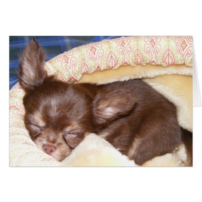 昼寝時空白の間 – 内部 (正面横)