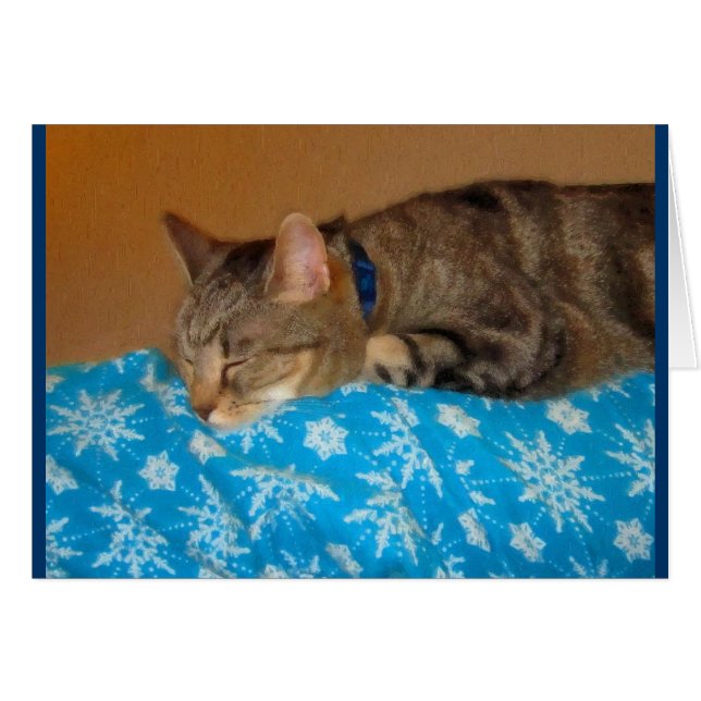 昼寝時間のためのインディゴ (正面横)