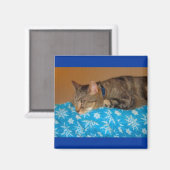 昼寝時間のためのインディゴ マグネット (正面/裏面)