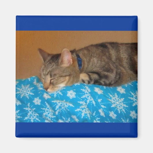 昼寝時間のためのインディゴ マグネット (正面)