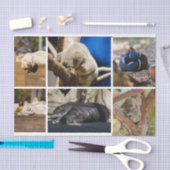 昼寝時間の眠っている動物Koala Decopage写真 薄葉紙 (クラフト)