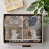 昼寝時間の眠っている動物Koala Decopage写真 薄葉紙 (ギフト)