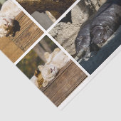 昼寝時間の眠っている動物Koala Decopage写真 薄葉紙 (詳細)