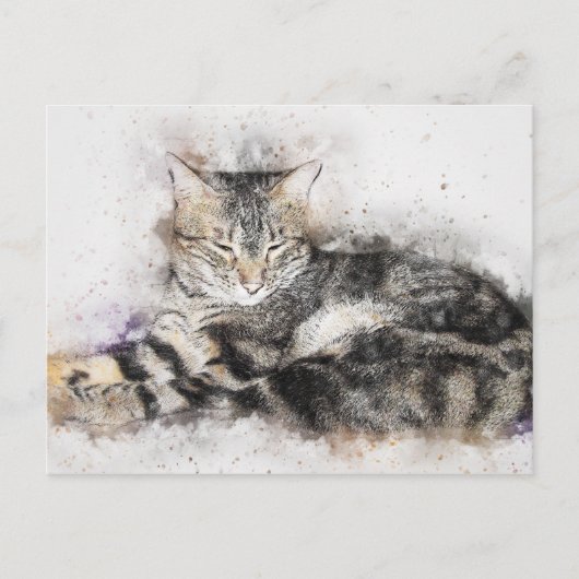 昼寝時間虎猫 |抽象芸術 |水彩 ポストカード (正面)