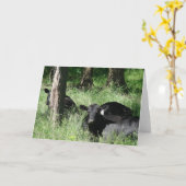 昼寝時間 カード (黄色い花)