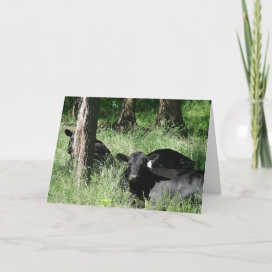 昼寝時間 カード (正面)