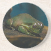 昼寝時間 コースター (正面)