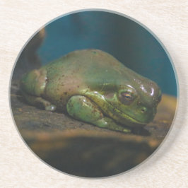 昼寝時間 コースター