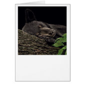 「昼寝時間」ベアカード (正面)