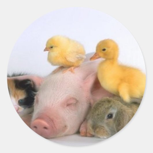 昼寝時間 ラウンドシール (正面)