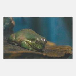 昼寝時間 長方形シール