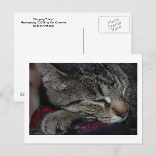 昼寝虎猫はがき ポストカード (正面/裏面)