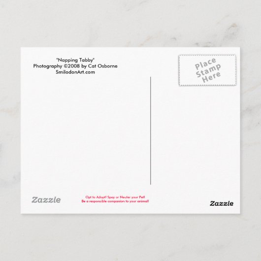 昼寝虎猫はがき ポストカード (裏面)