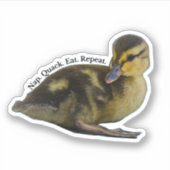 昼寝。クック。食べ.繰り返す。 – マラルドアクリング シール (正面)