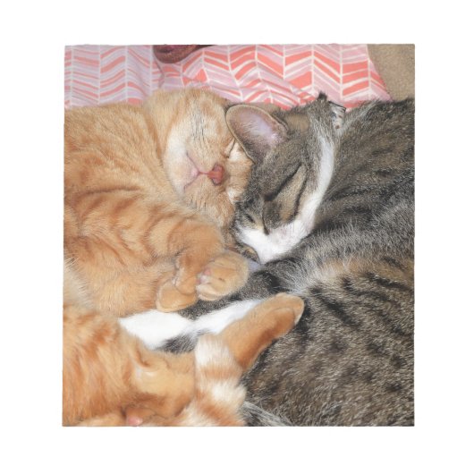 昼寝 ノートパッド (正面)