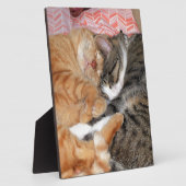 昼寝 フォトプラーク (側面)