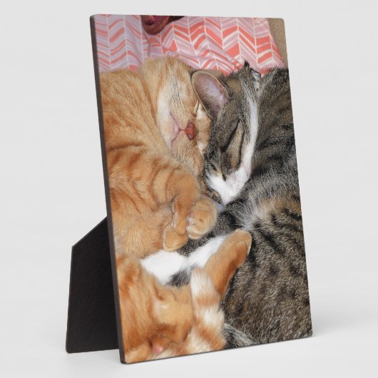 昼寝 フォトプラーク (側面)