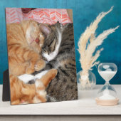 昼寝 フォトプラーク (側面)