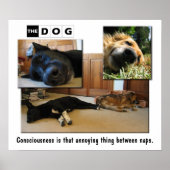 昼寝。 ポスター (正面)