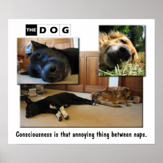 昼寝。 ポスター