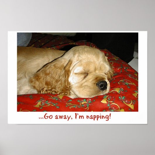 昼寝 ポスター (正面)