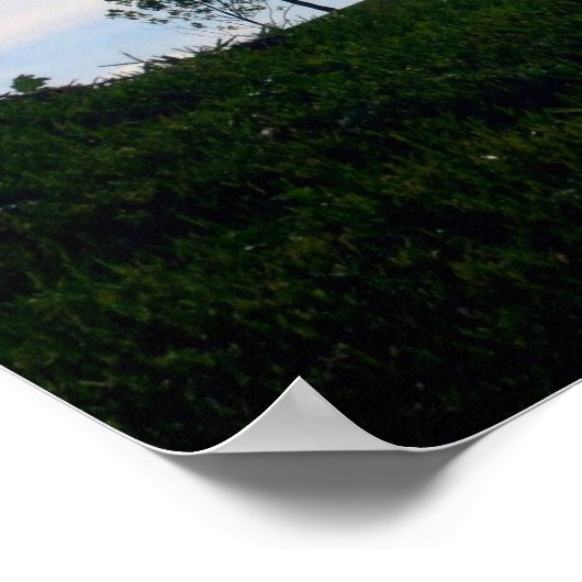 昼寝 ポスター (角)