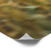 昼間のアカシカ ポスター (角)