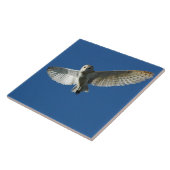 昼間のフライトでメンフクロウ タイル (側面)