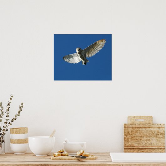 昼間のフライトでメンフクロウ ポスター (キッチン)