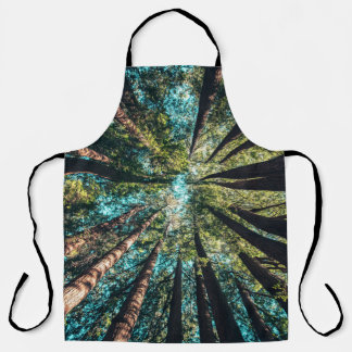 昼間の低角度撮影 エプロン