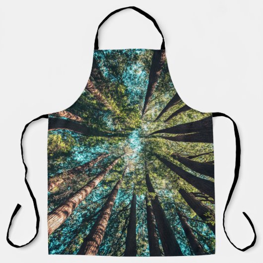 昼間の低角度撮影 エプロン (正面)